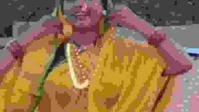 मेघा डोळस - समाजसेवीकेचे व्रत यशस्वीपणे जोपासणारी एक नाट्यवेडी अभिनेत्री ...!