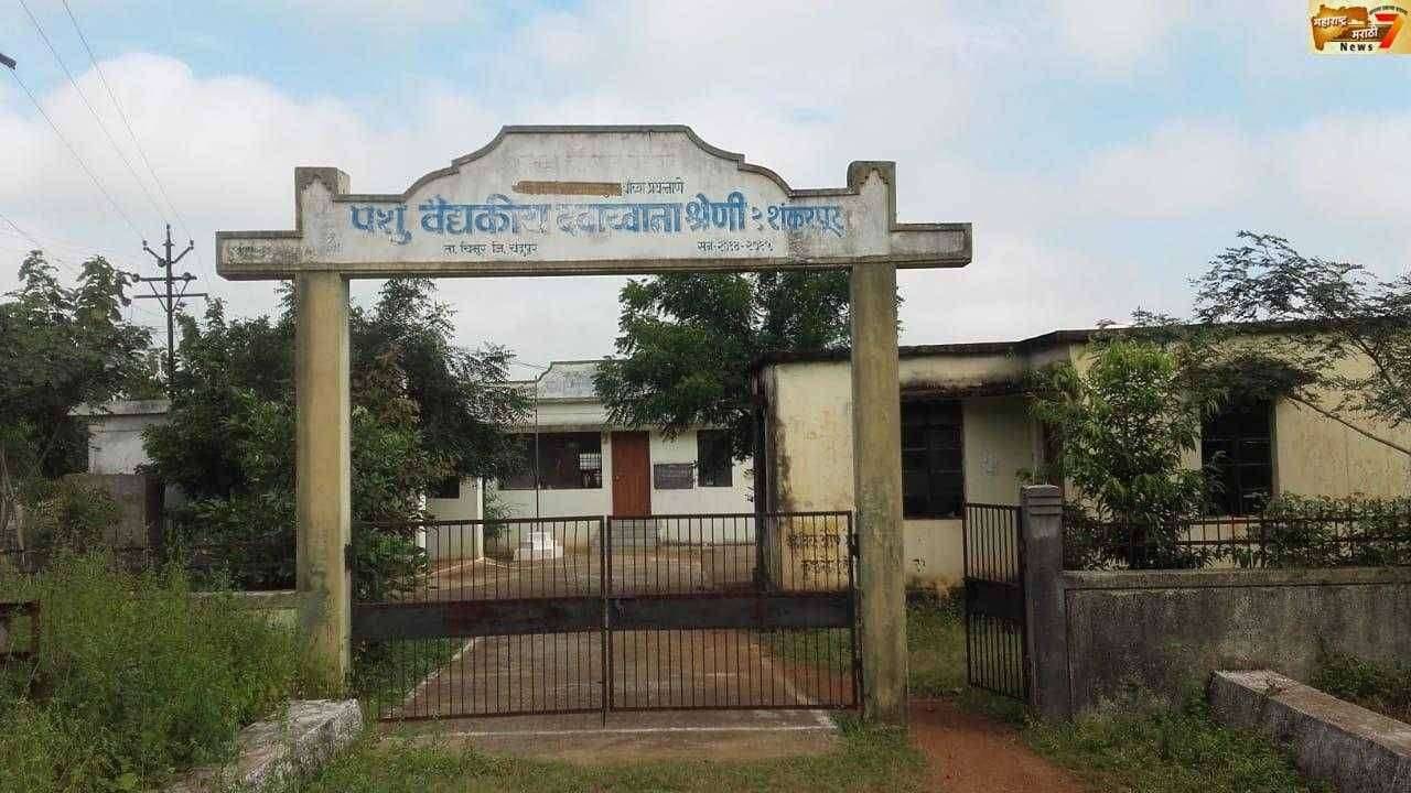 पशुवैद्यकीय अधिकाऱ्यांच्या हलगर्जीपणामुळे पाळीव प्राण्यावर बिमारीचे सावट...