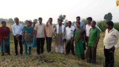 खासदार अशोक नेते यांचा अतिवृष्टी मुळे नुकसान झालेल्या भागात दौरा