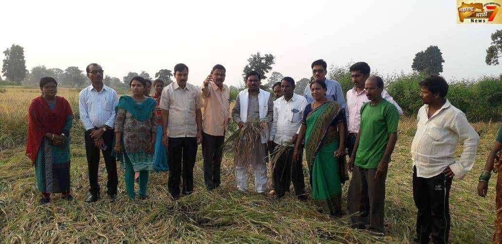 खासदार अशोक नेते यांचा अतिवृष्टी मुळे नुकसान झालेल्या भागात दौरा