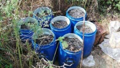 रावण्या पाटा मधील मोहफुल हातभट्टी वर टाकली धाड ठाणेदार स्वप्नील धुळे यांची कारवाई