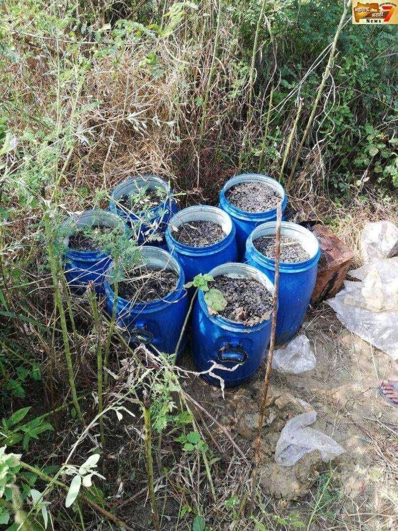 रावण्या पाटा मधील मोहफुल हातभट्टी वर टाकली धाड ठाणेदार स्वप्नील धुळे यांची कारवाई