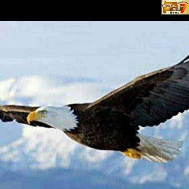 महाराष्ट्र राज्यातील शैक्षणिक व सामाजिक कार्यासाठी ईगल फाउंडेशन कटीबद्ध -विलासराव कोळेकर