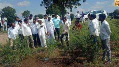 मिरी-शंकरवाडी तलावात वांबोरी पाईपलाईनचे शेतीसाठी पाणी सोडावे---जेष्ठनेते राजूमामा तागड यांची मागणी