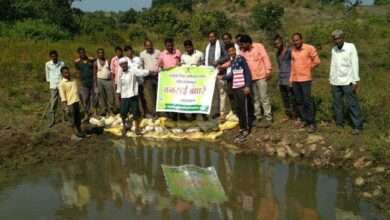 डोंगरखर्डा येथे लोकसहभागातुन वनराई बंधारे