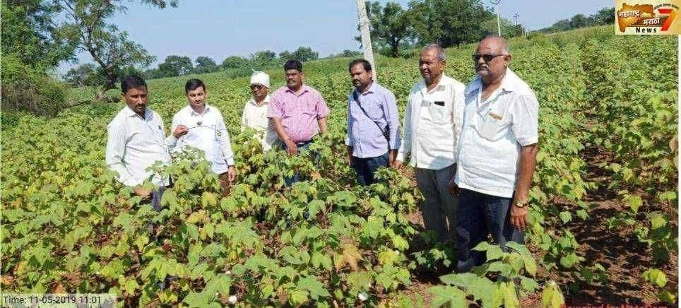 अमळनेर येथे पीक नुकसानीचे पंचनामे करण्यास सुरुवात