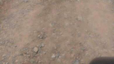 देऊळगाव येथे जि मार्ग २ ते बदर वस्ती पर्यंतच्या रस्त्याचे काम अधिकाऱ्याच्या आशीर्वादाने निकृष्ठ दर्जाचे..आंदोलनाचा इशारा