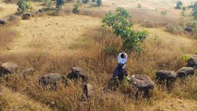 नागपुर जिल्ह्यातील चांप्यात आढळले तिन अश्मयुगीन शिळावर्तुळ