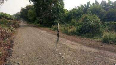 रावेर तालुक्यातील उटखेडा कळमोदा रस्त्याचे काम होतेय निष्कृष्ट परिसरातील वाहन धारक व शेतकऱ्यांनी व्यक्त करताय संताप....