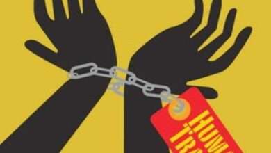 शिर्डीत मानव तस्करी होत असल्याचा संशय... गेल्या वर्षात 88 व्यक्ती गायब