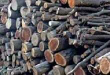 चिमूर शहरात मयतसाठी जळाऊ लाकडे उपलब्ध करून देण्याची शिवसेनेची मागणी