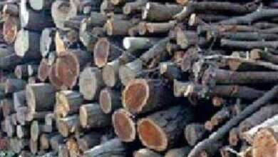 चिमूर शहरात मयतसाठी जळाऊ लाकडे उपलब्ध करून देण्याची शिवसेनेची मागणी