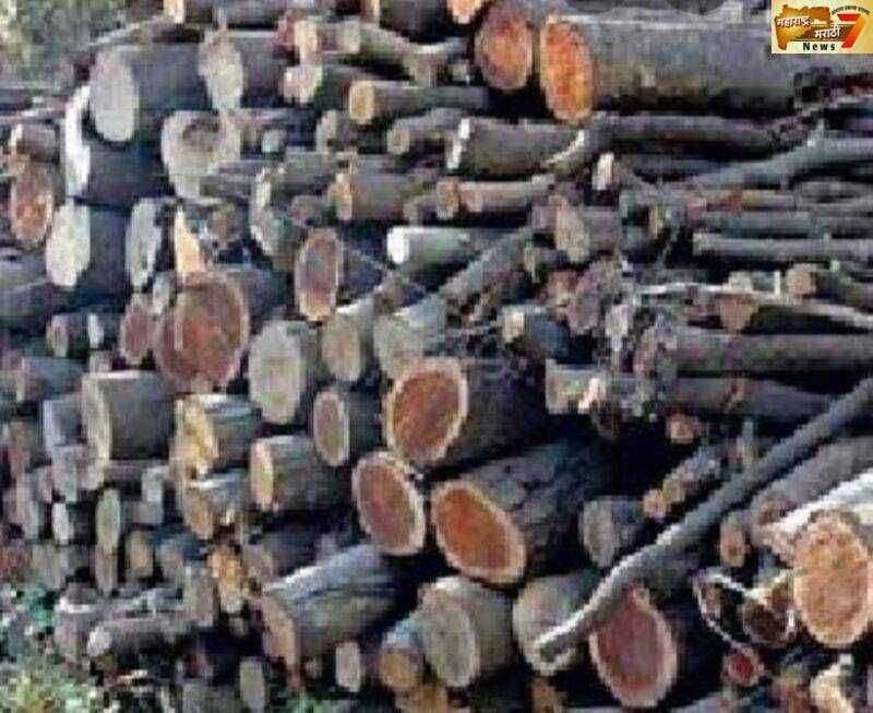 चिमूर शहरात मयतसाठी जळाऊ लाकडे उपलब्ध करून देण्याची शिवसेनेची मागणी