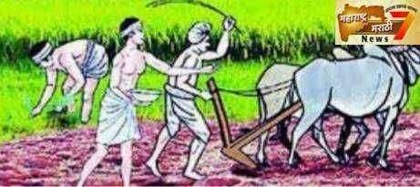 पोक्रा योजनेत गटशेतीचा समावेश शेतकऱ्यांनी लाभ घेण्याचे कृषि विभागाचे आवाहन