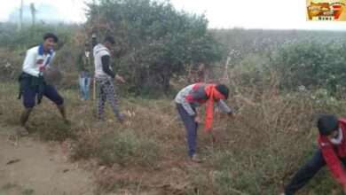 वरूड जहागीर येथील संत सेवालाल नगरीच्या तरूणानी गाव ते तांडा साफ सफाईचा घेतला वसा.