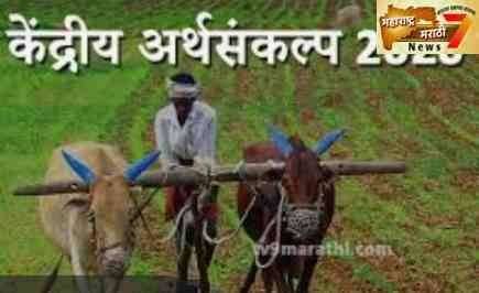 अर्थसंकल्प 2020 : कृषी क्षेत्रासाठी तरतूद अर्थमंत्री निर्मला सीतारामन यांच्या अर्थसंकल्पीय भाषणाला संसदेत सुरुवात