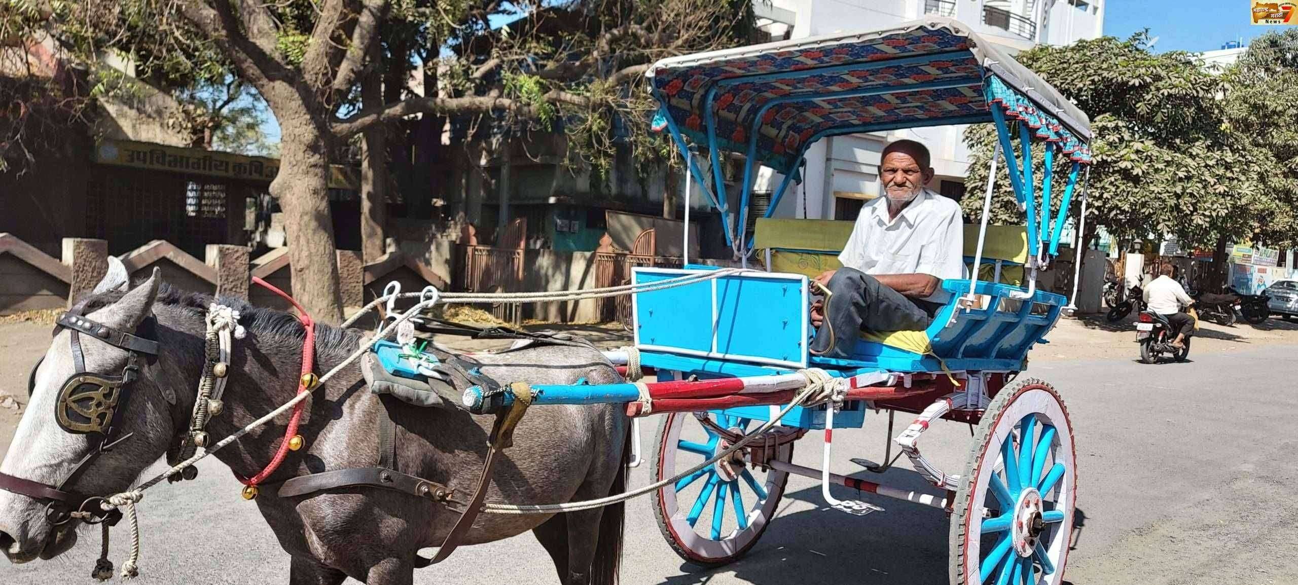 ? विशेष....गोपाळ काकांचा टांगा ठरतोय अमळनेरकरांना आकर्षण..गोपाळ काका जपताहेत वारसा...