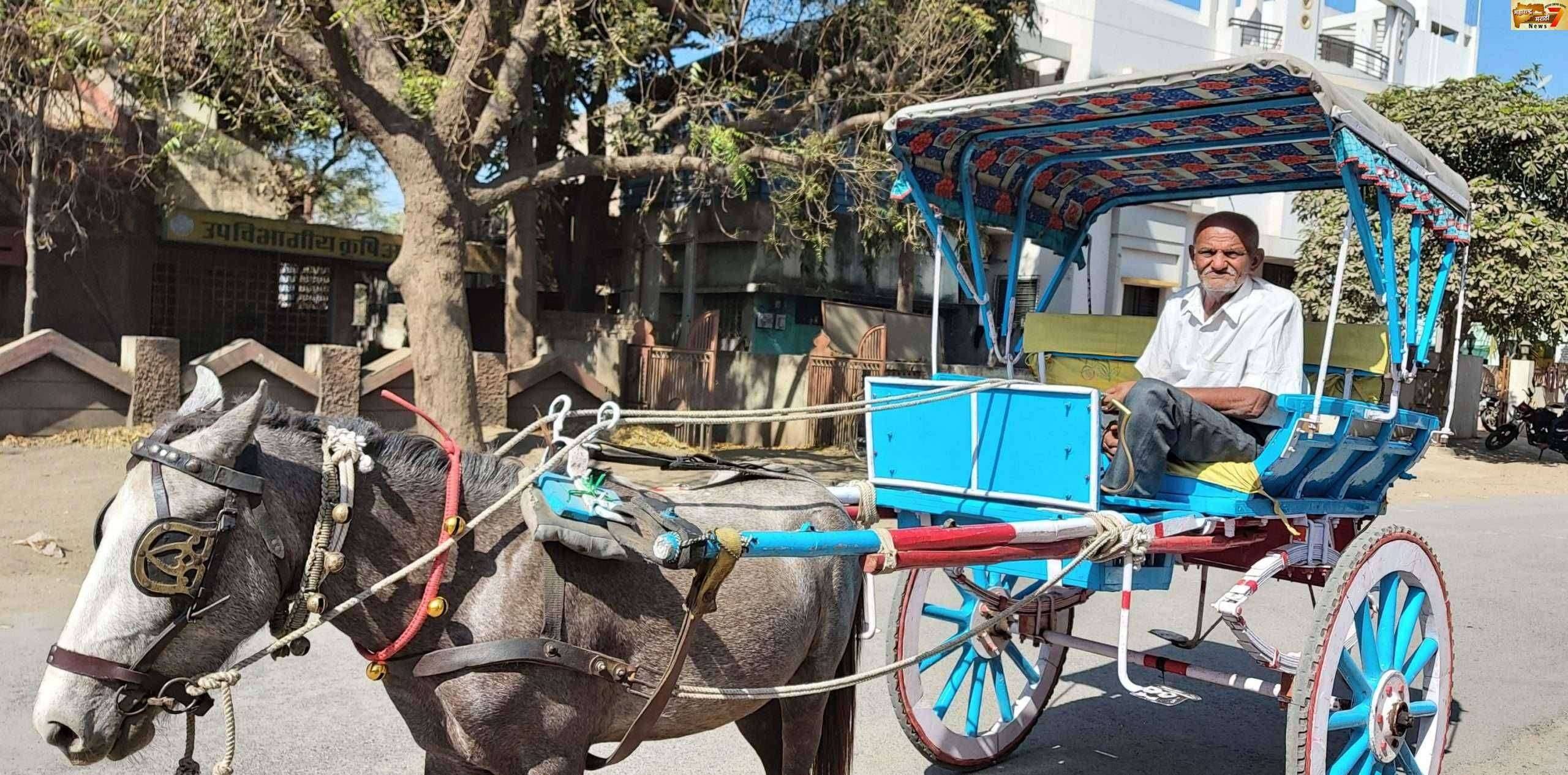 ? विशेष....गोपाळ काकांचा टांगा ठरतोय अमळनेरकरांना आकर्षण..गोपाळ काका जपताहेत वारसा...