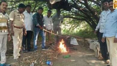 मारवड पोलीस स्टेशन हद्दीतील जैत पीर येथे गावठी दारू अड्ड्यावर छापा