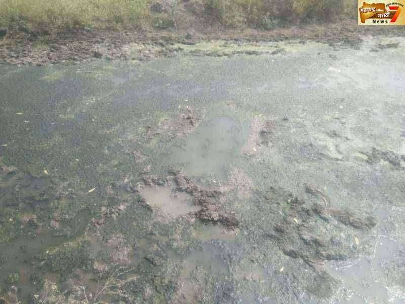 लोणंद शहरातील नगरपंचायत खेळतीया नागरिकांच्या जिवाशी खेळ गटाराचे पाणी रस्त्यावर आल्याने आंधळ दळत कुत्र पीठ खातय अशी अवस्था