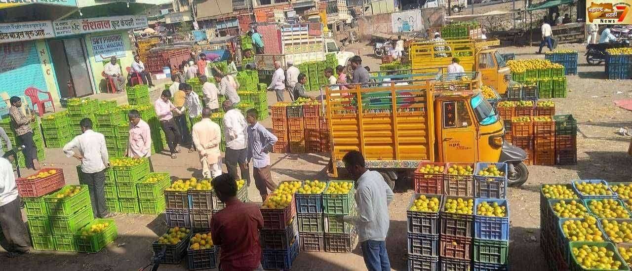 फैजपुरात संत्र्याची आवक वाढल्या मुळे अनेकांना रोजगार उपलब्ध