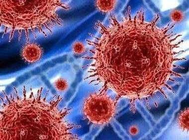 पुणे जिल्ह्यात एकही काेराेनाचा रुग्ण नाही ; अफवांवर विश्वास ठेवून नका : जिल्हाधिकारी