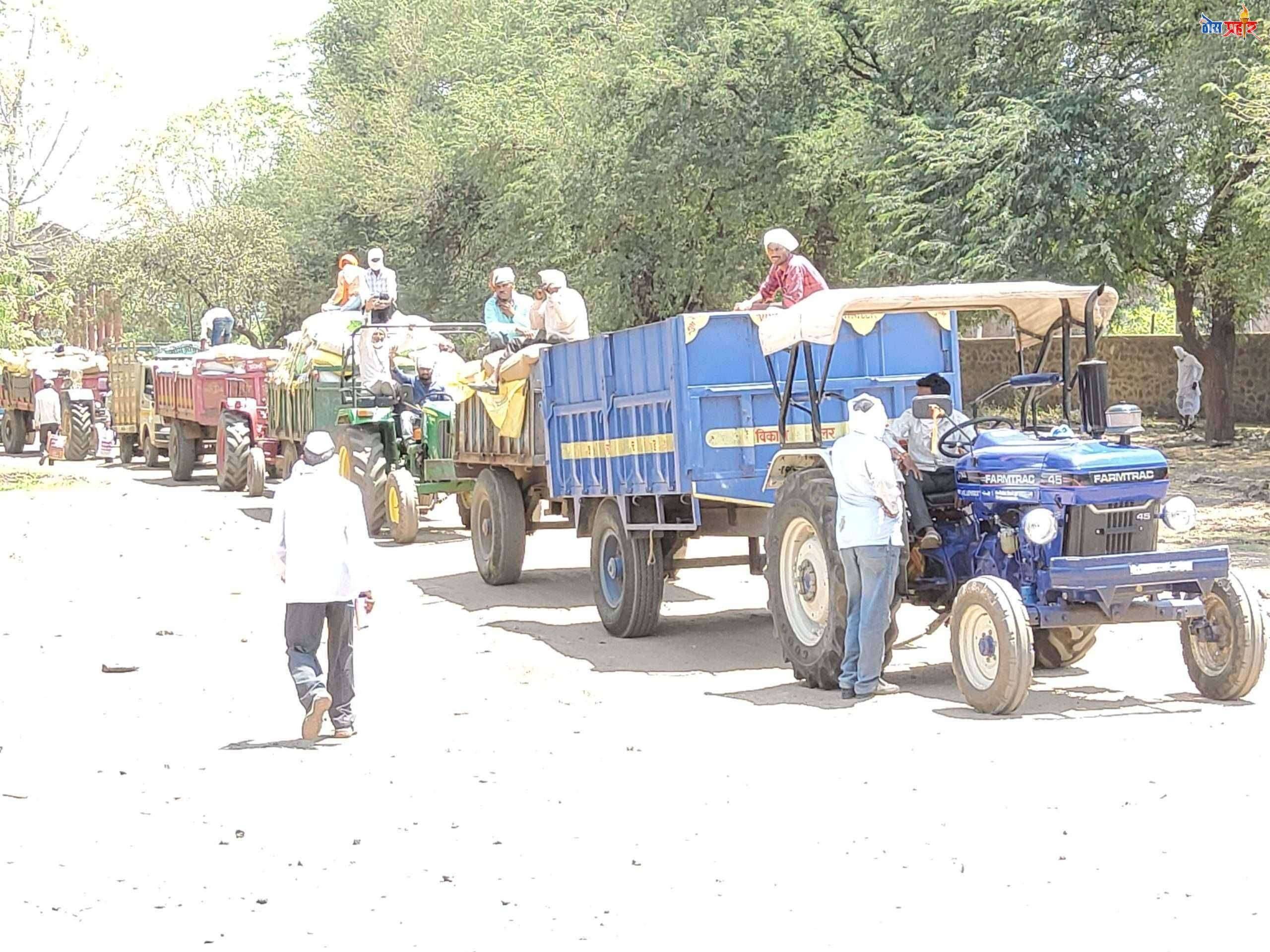 कृषी उत्पन्न बाजार समितीत 30 हजार क्विंटल ची विक्रमी आवक... शिस्त आणि नियम पाळत योग्य नियोजन