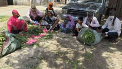 ? कव्हर स्टोरी- तांदूळ तर मिळाला पण खिचडीसाठी तेलचं नव्हतं..सामाजिक अलगाव आमच्यासाठी अशक्य- गांधलीपुरा,शांतीनगर,मांग वाडा,कोष्टीवाडा इ