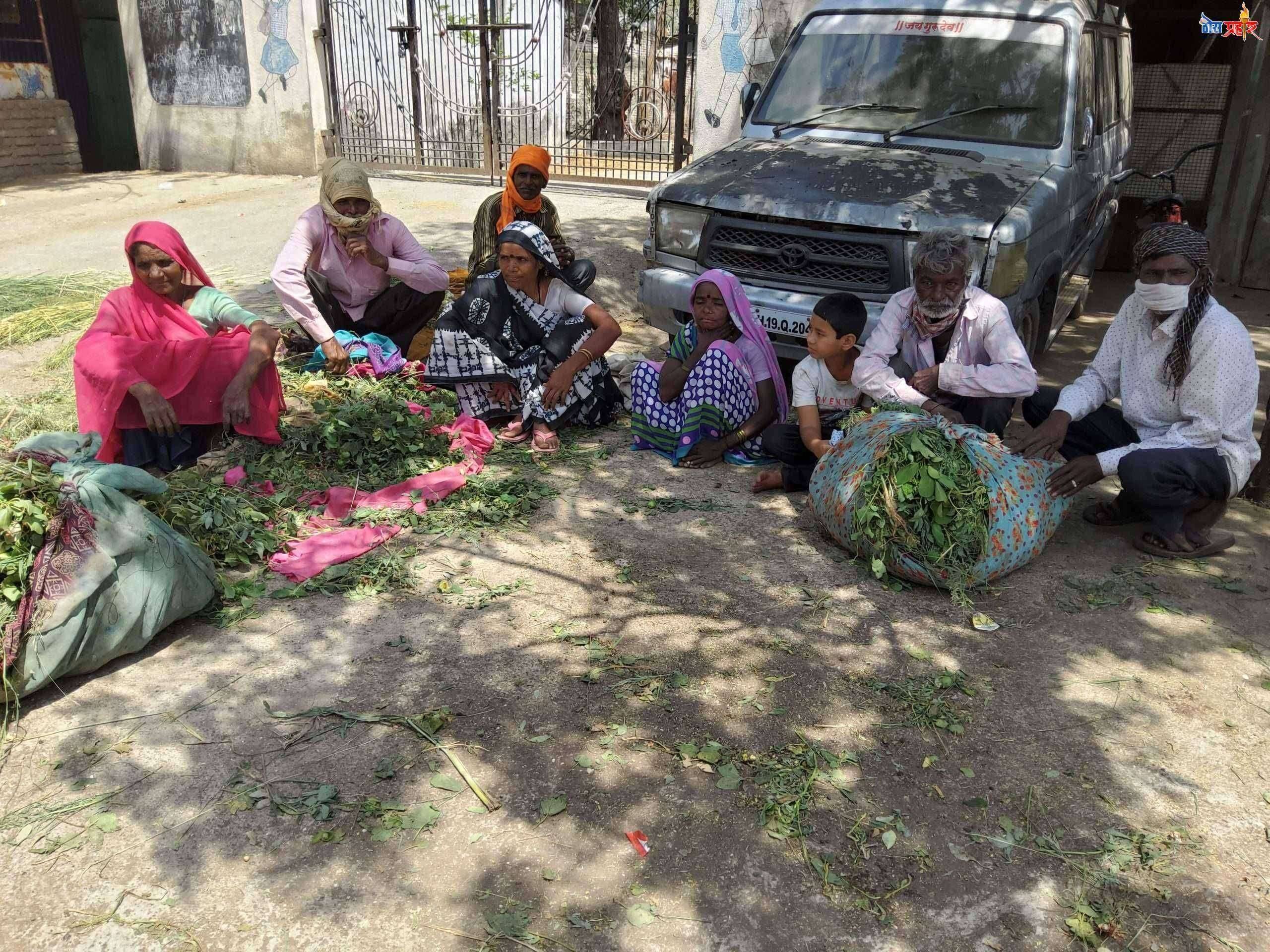 ? कव्हर स्टोरी- तांदूळ तर मिळाला पण खिचडीसाठी तेलचं नव्हतं..सामाजिक अलगाव आमच्यासाठी अशक्य- गांधलीपुरा,शांतीनगर,मांग वाडा,कोष्टीवाडा इ