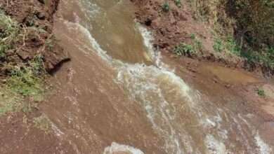 लोणंदसाठी तांबवे धरणातून सोडले पाणी . कापडगाव सह लोणंदच्या दक्षिणेकडील वसाहतींना फायदा होणार .