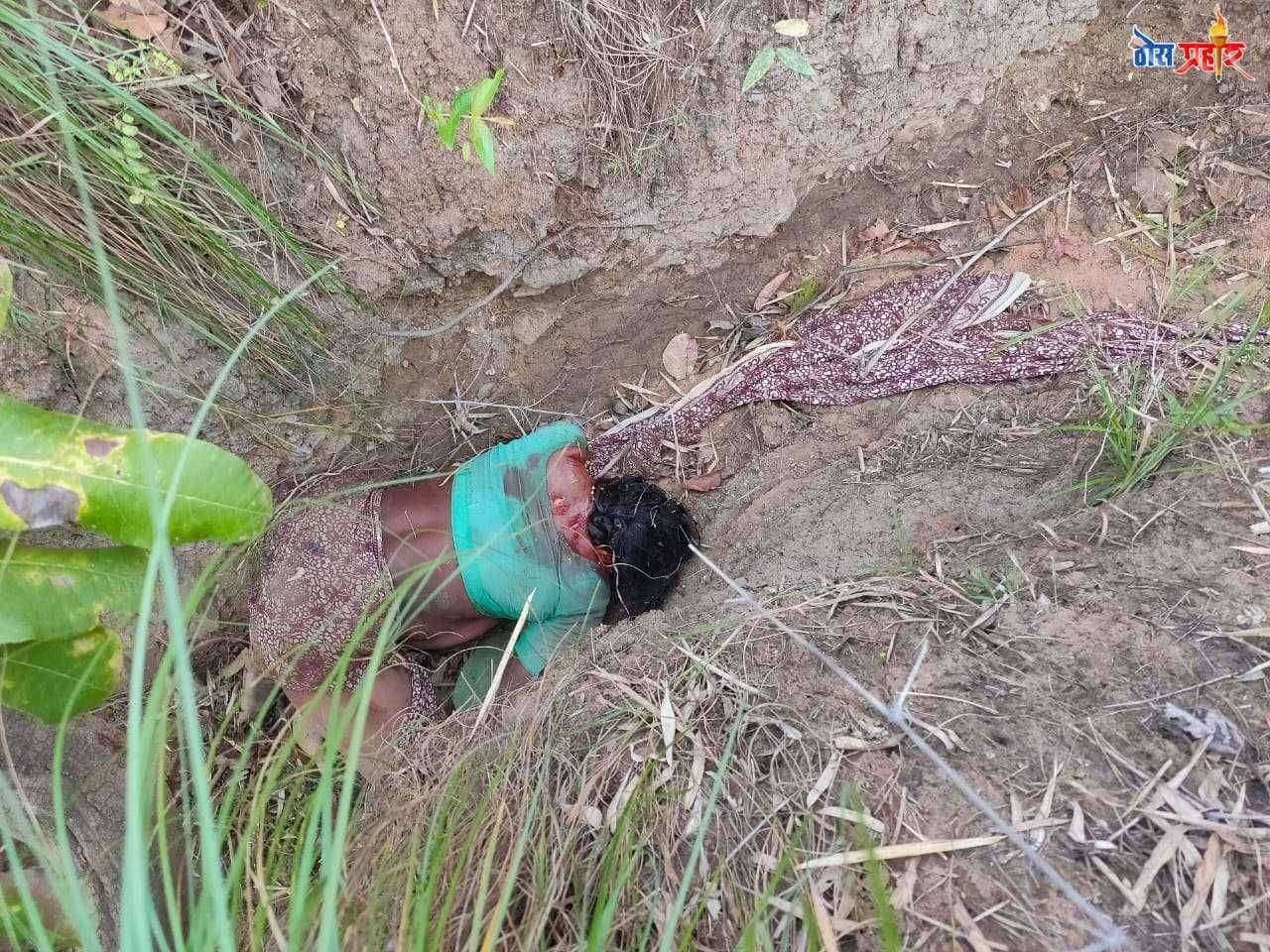 मोहफ़ुल वेचण्यासाठी गेलेल्या पती-पत्नीवर वाघाचा हल्ला