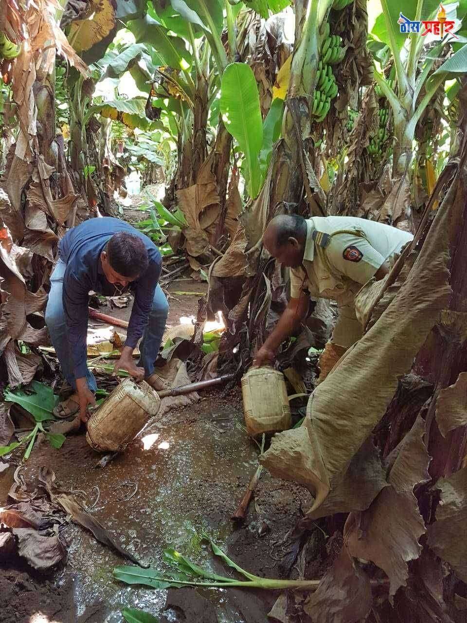 तालुक्यातील नेहता येथील तीन ठिकाणी गावठी दारू हातभट्टी उध्वस्त