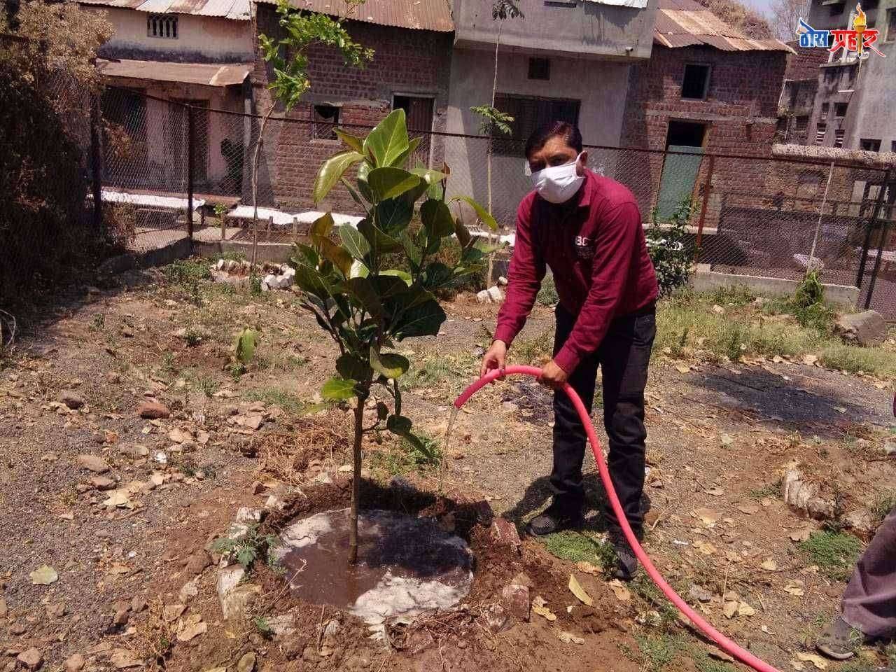 फैजपूर तलाठी कार्यलय परिसरात लावण्यात आलेली विविध झाडें कोरडी होऊ नये