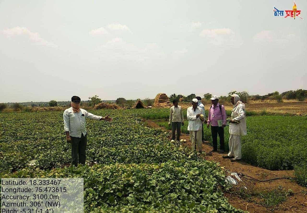 लोकप्रतिनिधी केलेल्या पाठपुराव्यांना यश ! परंडा तालुक्यातील गारपीठचे वेगात पंचनाम्यास सुरूवात