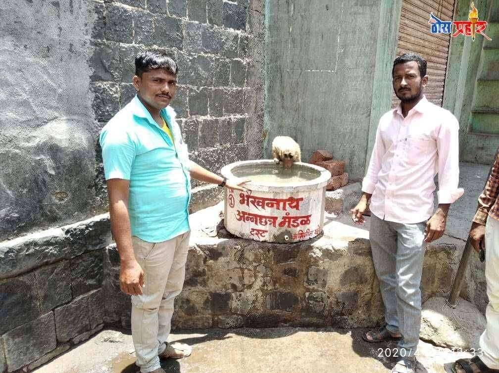 श्री. काळ भैरवनाथ अन्नछत्र ट्रस्ट तर्फे ४० दिवसांपासून केली जातेय माकडांच्या खाण्याची सोय