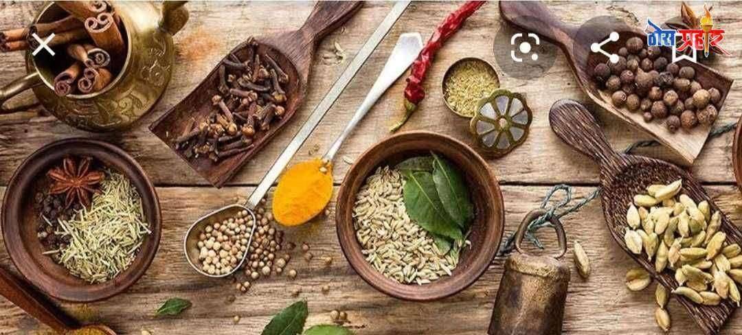 आयुर्वेदिक औषधाने कोरोनावर उपचार होऊ शकतो - डॉ. लक्ष्मीकांत कलमूर्गे आयुष मंत्री श्रीपाद नाईक यांना पत्र