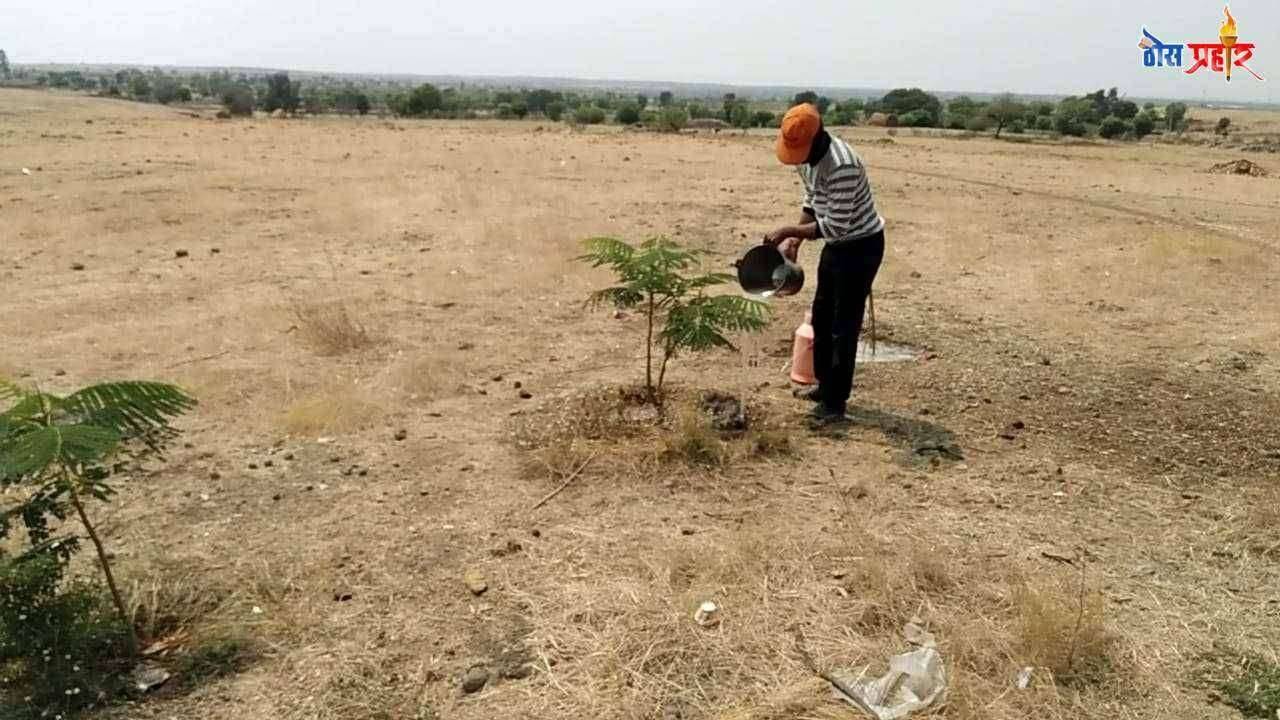 पर्यावरण संरक्षणसाठी लॉकडाऊन काळातही संस्थापक देवा तांबे यांचे माळरानावर वृक्षारोपण व संगोपन