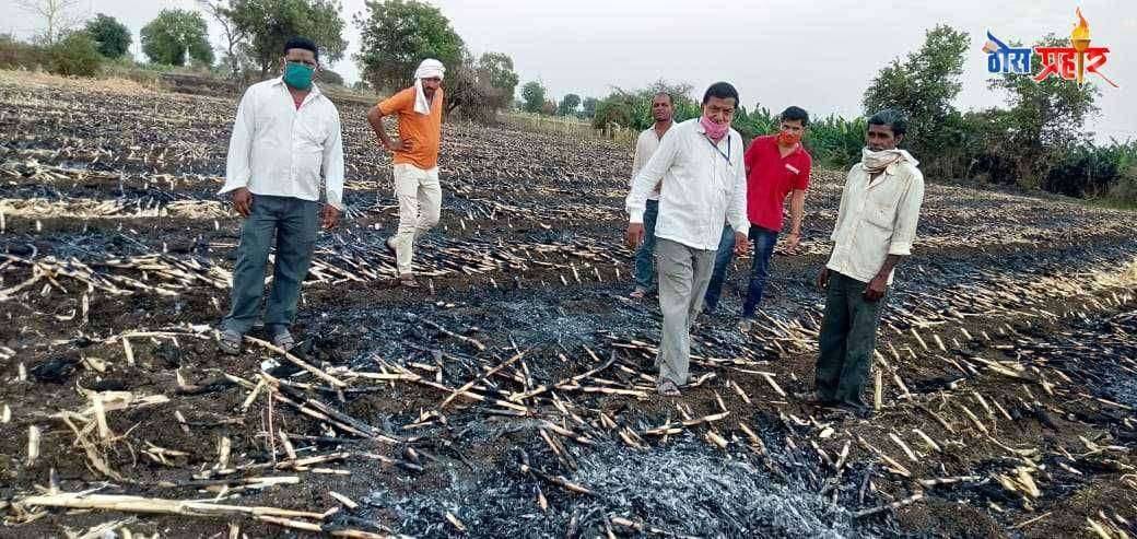 घुमावल शिवारातील दोन एकर मका शॉकसर्किटमुळे जळुन खाक.