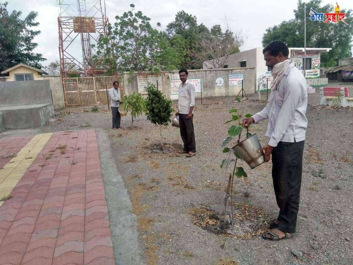 कोरोनाच्या महामारीमुळे झाडे लागली सुकु