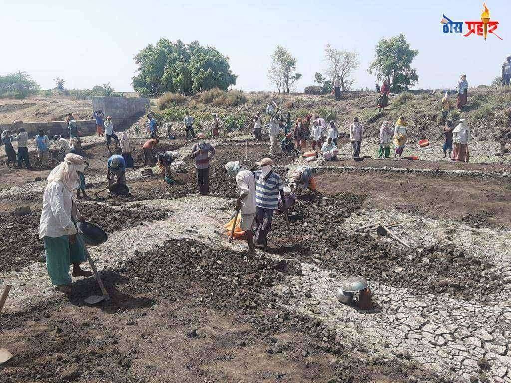 मनरेगाच्या माध्यमातून 16 हजार मजूरांच्या हाताला काम रोजगार उपलब्ध करून देण्यासाठी प्रशासनाची विशेष मोहिम
