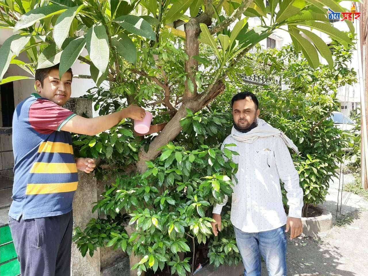 पक्षिला वाचविन्यासाठी मोहीम