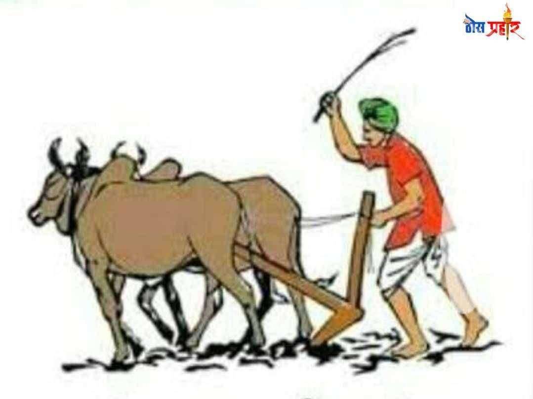 ? शेतकऱ्यांची पीक कर्ज रक्कम स्थानिक शाखेत वर्ग करा - शेतकऱ्यांची मागणी