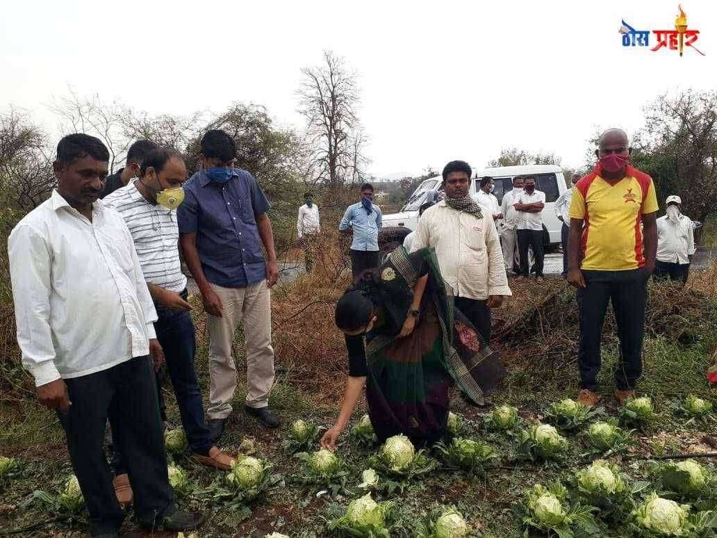 नाशिक जिल्ह्यात दिंडोरी तालुक्यात अचानक झालेल्या अवकाळी पावसाचे पंचनामे