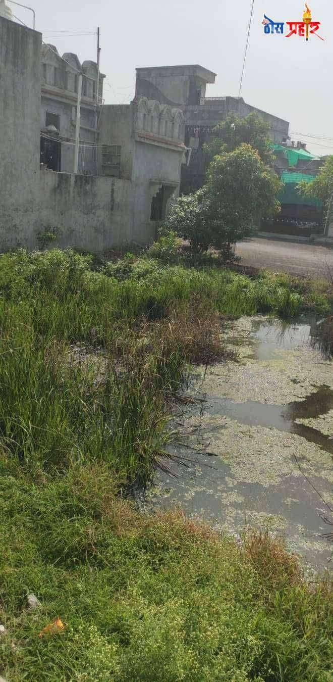 रेनूका कॉलनीतील नागरीकांचे आरोग्य धोक्यात फैजपूर न.पा. ने सांडपाण्याचा प्रश्न न सोडवल्यास तीव्र आंदोलनाचा ईशारा_