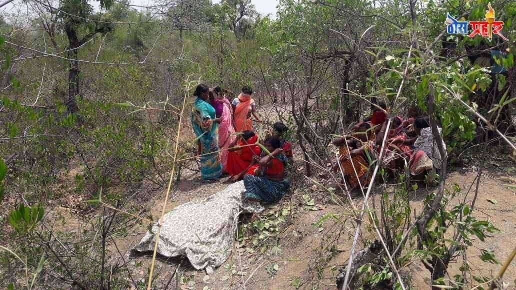 जंगलात गेलेल्या महिलेस वाघाने केले ठार कोलारा येथील घटना पोलिसांच्या मध्यस्तीने मृत्य महिले च्या कुटुंबाला मिळाली 5 लाख 50 हजारांची मदत