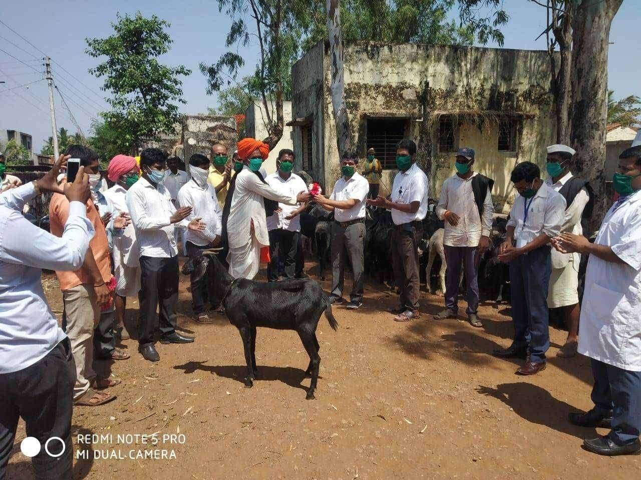शेळ्या मेंढ्याचे उत्पन्न वाढीसाठी सकस व मुबलक प्रमाणात चारा महत्त्वाचा-डॉ. वाय.ए.पठाण उपायुक्त पशुसंवर्धन