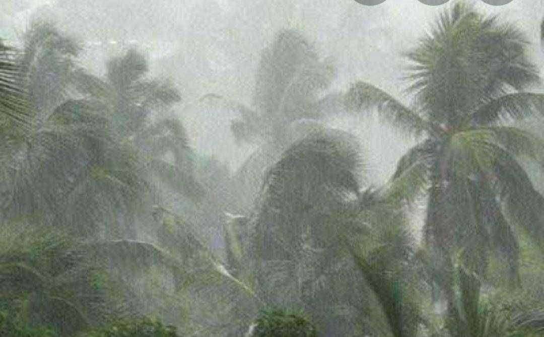 ?️ Big Alert... राज्यातील ह्या भागांमध्ये येत्या 24 तासात मुसळधार पाऊस।