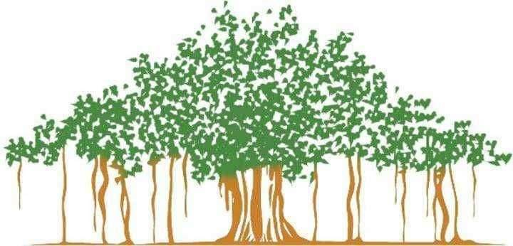 एक विद्यार्थी- पाच वृक्ष अनिवार्य करा