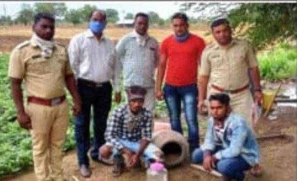 "मांडुळ जातिचा साप पकडुन ठेवणार्या दोघांना अटक"