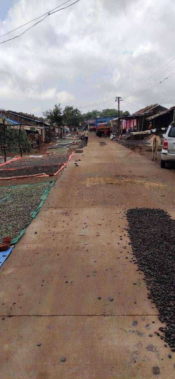 हिरड्यांच्या नुकसानीचे पंचनामे करून नुकसान भरपाई द्या प्रशासनाने आदिवासी बांधवांना न्याय द्यावा.